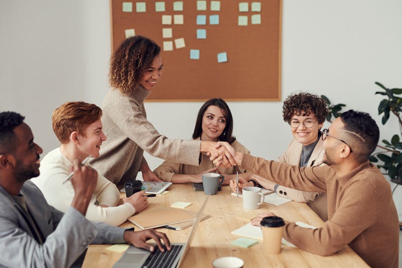 Offshore software development team
